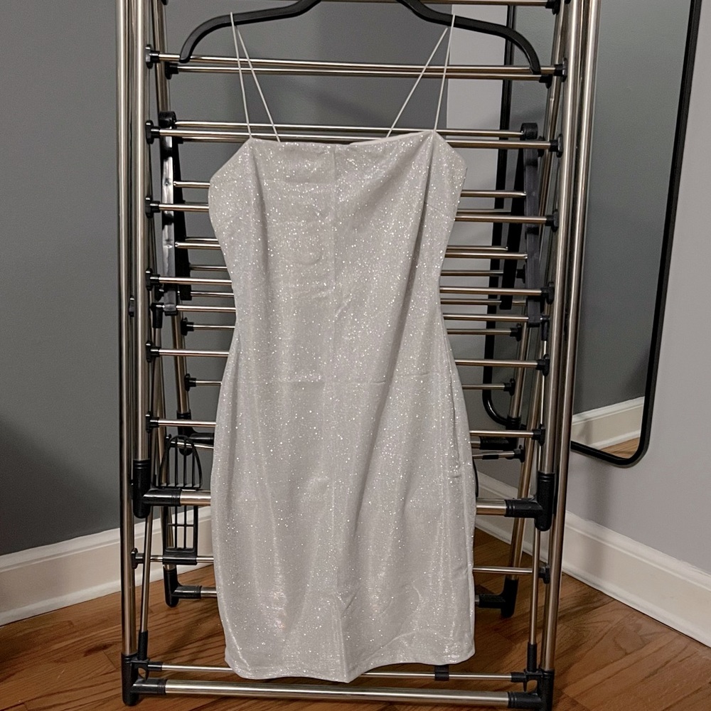 Windsor Silver Sparkly Dress